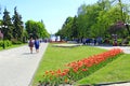 People have a rest in city park with tulips