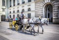 People have a ride in the fiaker and pass the Hofburg in Vienna Royalty Free Stock Photo