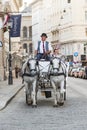 People have a ride in the horsedrawn carriage called fiaker