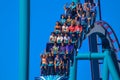 People having fun amazing Mako rollercoaster at Seaworld Theme Park 4