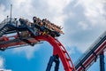 People having fun amazing Sheikra rollercoaster at Busch Gardens 1 Royalty Free Stock Photo