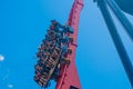 People having fun amazing Sheikra rollercoaster at Busch Gardens 6 Royalty Free Stock Photo