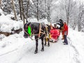 Shuangfeng Forest Farm, Changting Town, Mudanjiang City, Heilongjiang Province, China - 31 December 2014 : People hike on mountain