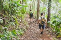 People hiking with backpacks, jungle trekking, group of tourists backpackers