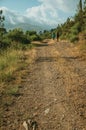 People hiking on dirt road through hilly landscape