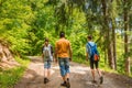 People hiking in forest in summer