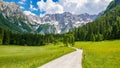 Beautiful alpine valley with field of green grass surrounded by mountans. Jezersko, Slovenia. Royalty Free Stock Photo