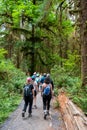 People hiking Hall of Mosses Trail in Hoh Rainforest in Olympic National Park.