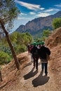 People Hiking in the Mountain