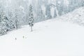 People hiking on Mountain in the morning with snow , Washington