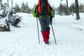 People hiking on snow trail in winter Royalty Free Stock Photo