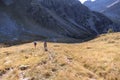 People hiking in the Swiss Alps on a sunny day in autumn, with sunshine on yellow grass and mountains in background, on the hiking