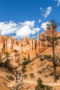People on hiking trip in Bryce Canyon National Park, Utah, USA