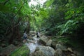 People hiking in tropical rainforest jungle, Ishigaki Island, Okinawa, Japan