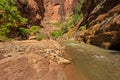 People hiking in Zion Narrow with Virgin River in summer season.