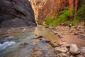 People hiking in Zion Narrow with Virgin River in summer season.