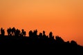 People on a hill in a backlit sunset