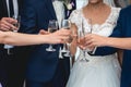 People hold in hands glasses with white wine. wedding party. Royalty Free Stock Photo