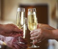 People holding glasses of champagne making a toast Royalty Free Stock Photo