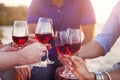 People holding glasses of red wine making a toast at the beach