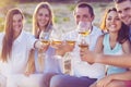 People holding glasses of white wine making a toast at the picnic