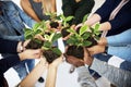 People holding plants in their hands Royalty Free Stock Photo