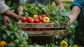 people holding a wooden crate full of fresh vegetables at a farm Royalty Free Stock Photo