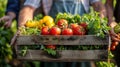 people holding a wooden crate full of fresh vegetables at a farm Royalty Free Stock Photo