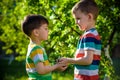 People holding young plant in hands against green spring background. Earth day ecology holiday concept Royalty Free Stock Photo