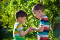 People holding young plant in hands against green spring background. Earth day ecology holiday concept Royalty Free Stock Photo