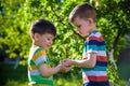 People holding young plant in hands against green spring background. Earth day ecology holiday concept Royalty Free Stock Photo