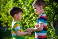 People holding young plant in hands against green spring background. Earth day ecology holiday concept Royalty Free Stock Photo