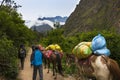 People and horses carrying goods along the Inca Trail, in the Sacred Valley, Peru