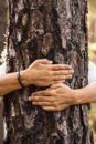 People hugging tree close up nature lover concept lifestyle image - one woman behing a trunk embracing and protect forest woods Royalty Free Stock Photo