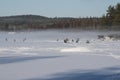 People icefishing on a lake in sweden