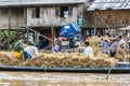 People at inle lake thresh the corn