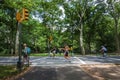 People jogging and cycling at the Central Park in New York City, USA