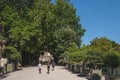 People jogging under trees in Luxembourg Gardens