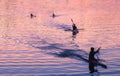 People in kayak kayaking at sunset Royalty Free Stock Photo