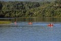 People kayaking in the lake surrounded by trees and greens Royalty Free Stock Photo