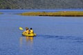 People kayaking in the lake surrounded by trees and greens Royalty Free Stock Photo