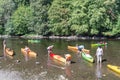 People with kayaks on the river Semois near Bouillon, Belgium Royalty Free Stock Photo