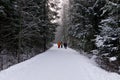 People in the Kemeri National Park in Latvia covered with snow in winter Royalty Free Stock Photo