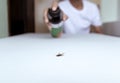 People killing bug with spraying of insecticide spray can. Royalty Free Stock Photo