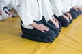 People in kimono and hakama on martial arts training