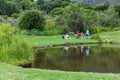 People on Kirstenbosch botanical garden at Cape Town in South Africa