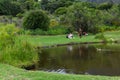 People on Kirstenbosch botanical garden at Cape Town in South Africa