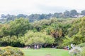 People at the Kirstenbosch National Botanical Gardens