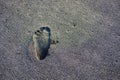 people leaving footprint on the sand. close-up many people footprint from foot step walking many direction on the sand beach. Royalty Free Stock Photo