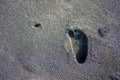 people leaving footprint on the sand. close-up many people footprint from foot step walking many direction on the sand beach. Royalty Free Stock Photo